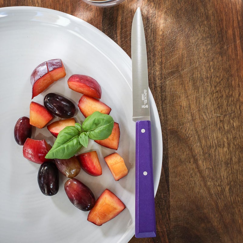 OPINEL No. 125 Table Knives, 4 Piece Set, High Carbon Steel Dinner Knives for Parties, Entertaining, or Everyday Use, Painted Hornbeam Handles, Made in France (POP) - Image 4